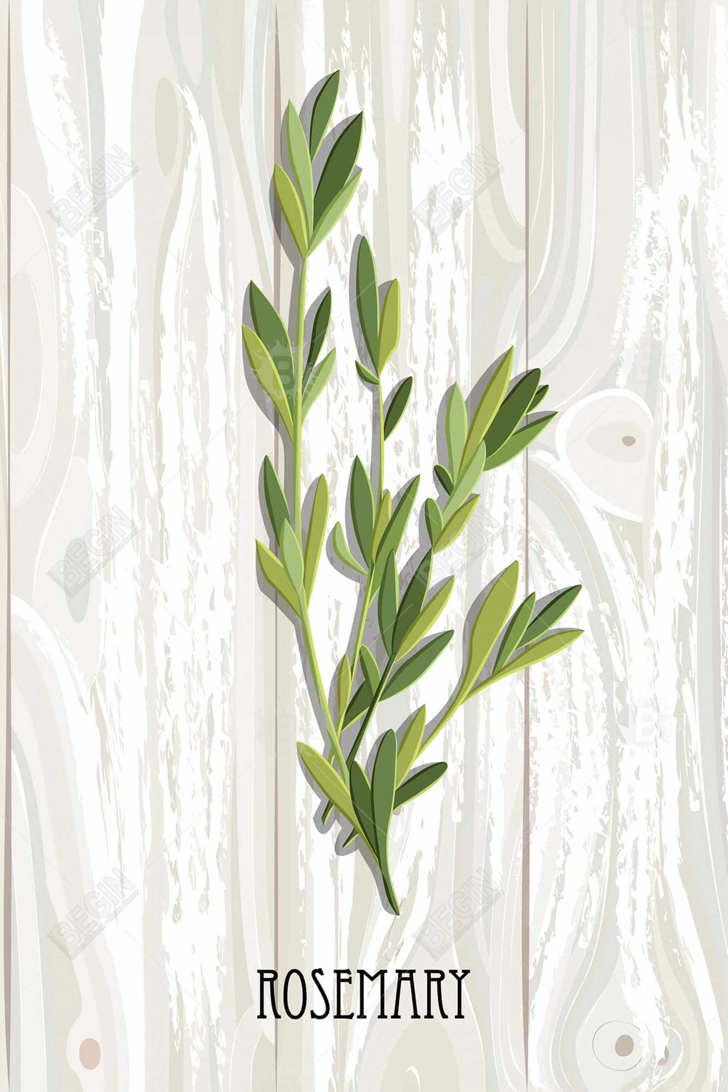 Rosemary on Wood - Botanical Kitchen Canvas for Home Decor