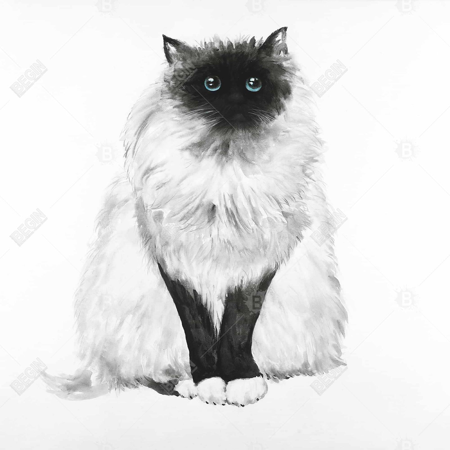 Toile « Chat siamois aux yeux bleus » | Décoration de chambre minimaliste