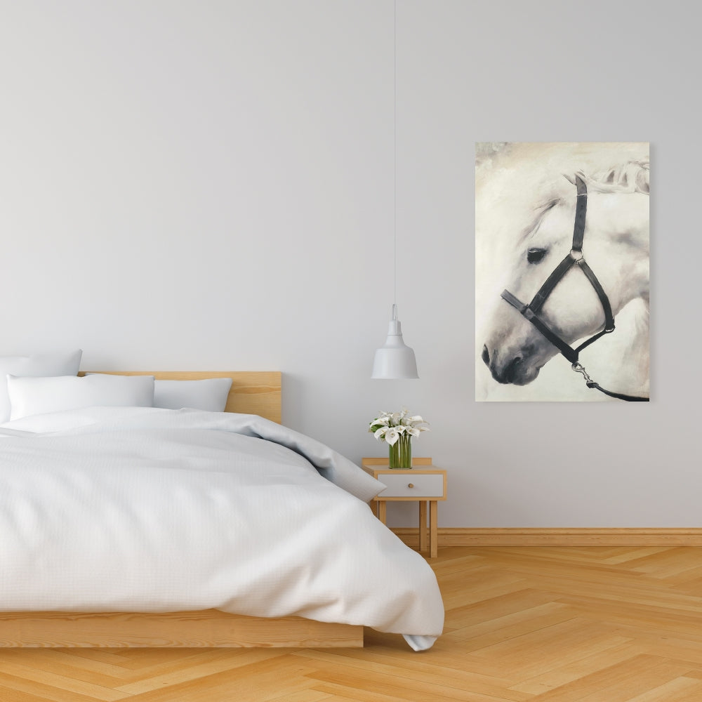 Darius the White Horse Canvas | Farm Animal Home Decor Art