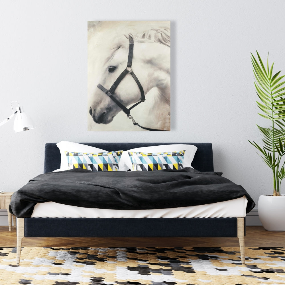 Darius the White Horse Canvas | Farm Animal Home Decor Art