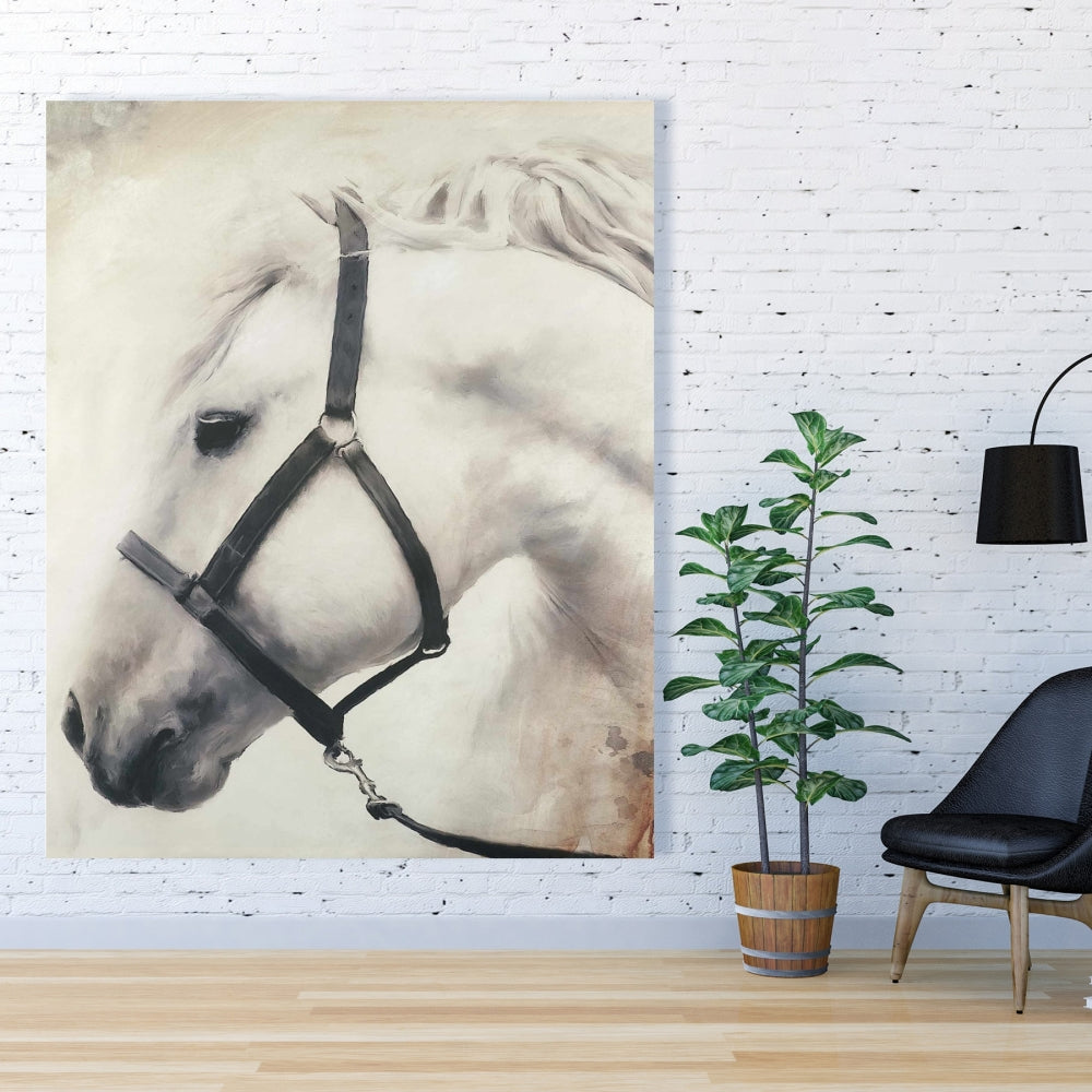 Darius the White Horse Canvas | Farm Animal Home Decor Art