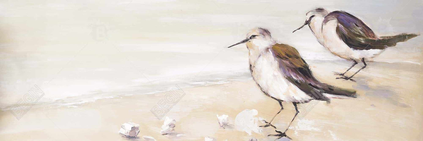 Deux bécasseaux sur la plage | Toile encadrée grise marine