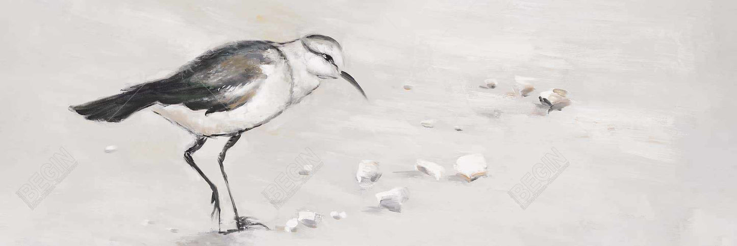 Semipalmated Sandpiper Canvas | Bird Marine Bathroom Decor