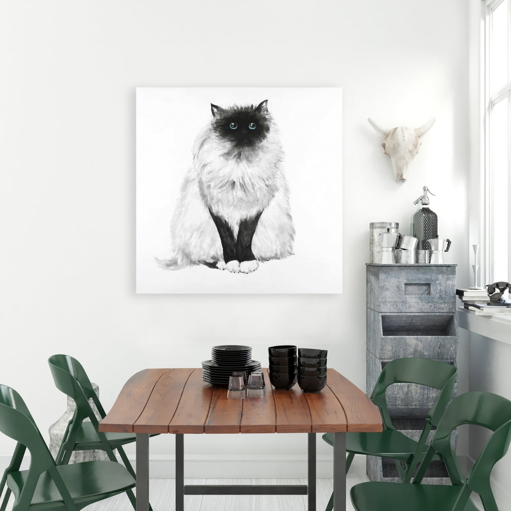 Blue Eyes Fluffy Siamese Cat Canvas | Minimalist Home Decor
