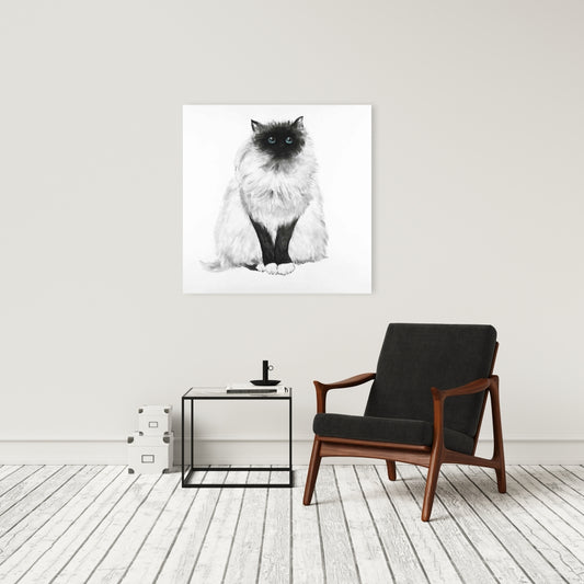 Blue Eyes Fluffy Siamese Cat Canvas | Minimalist Home Decor
