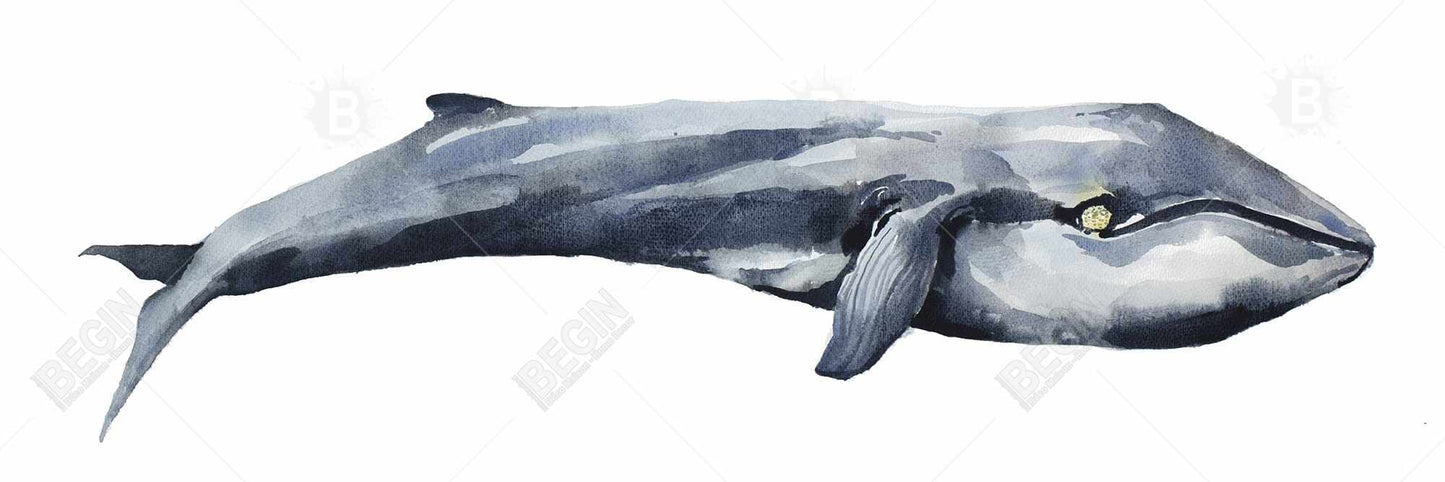 Watercolor Whale Canvas - Blue Bedroom Decor | Aquatic Art