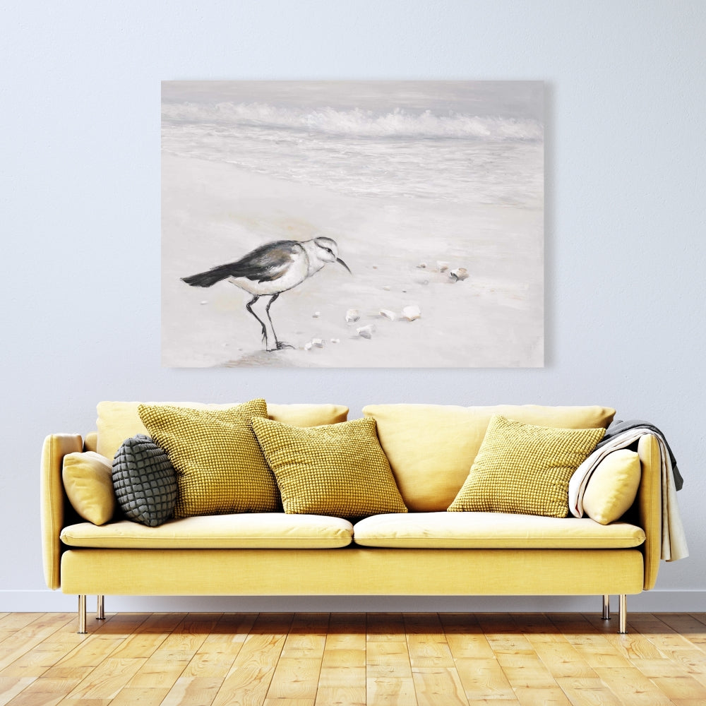 Semipalmated Sandpiper Canvas | Bird Marine Bathroom Decor