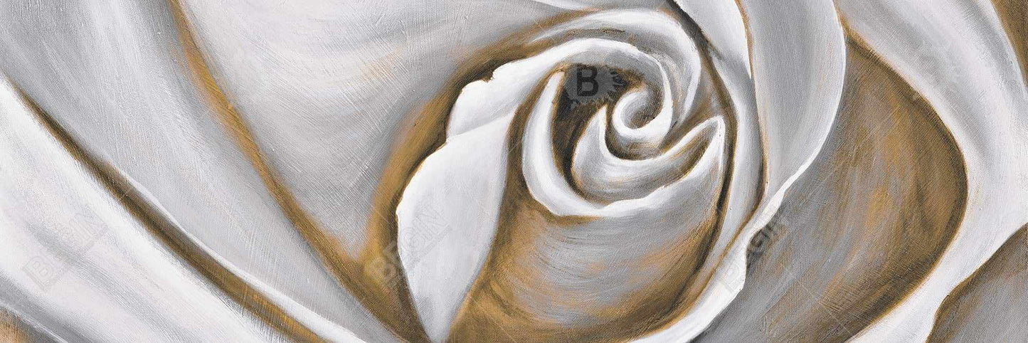 White Rose Closeup Canvas - Botanical Bedroom Wall Art Decor