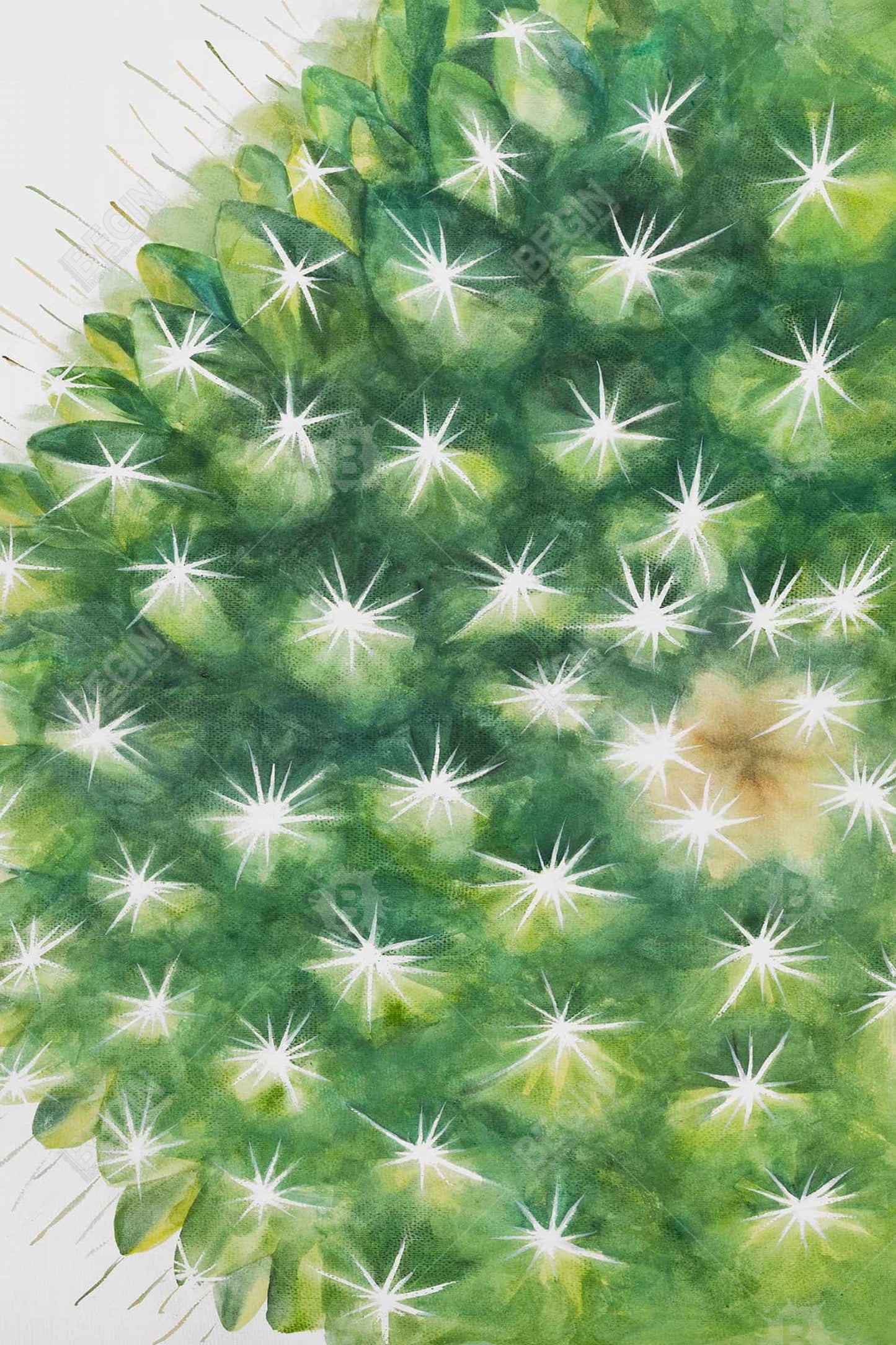 Watercolor Mini Cactus Magnetic Canvas - Green Home Decor