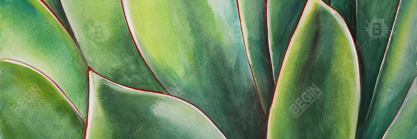 Watercolor Agave Plant Canvas | Exotic Botanical Bedroom Decor