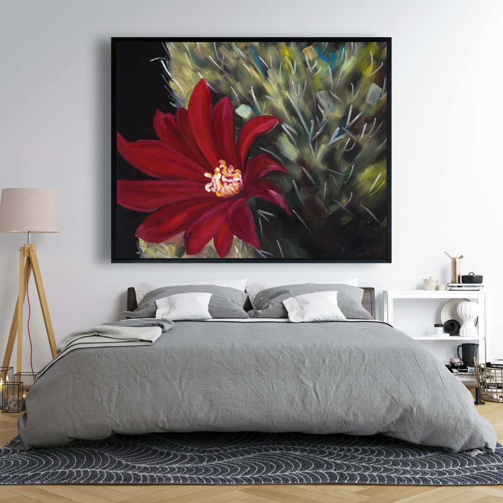 Fleur de cactus rouge Echinopsis | Toile décorative encadrée noire
