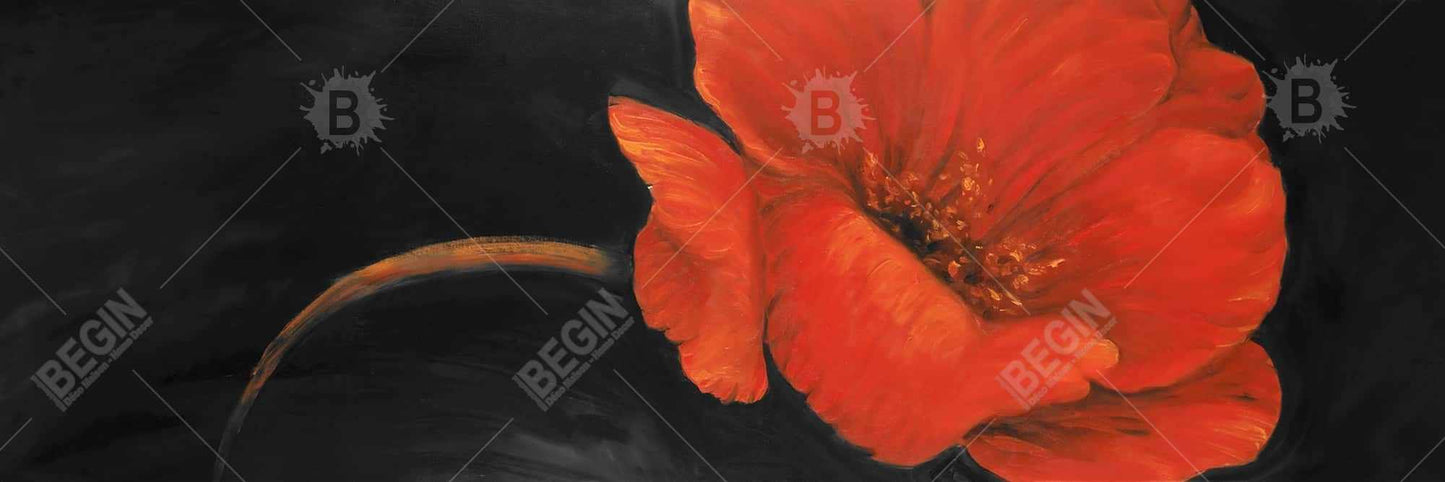Black Bedroom Contemporary Framed Canvas - Red Flower Decor