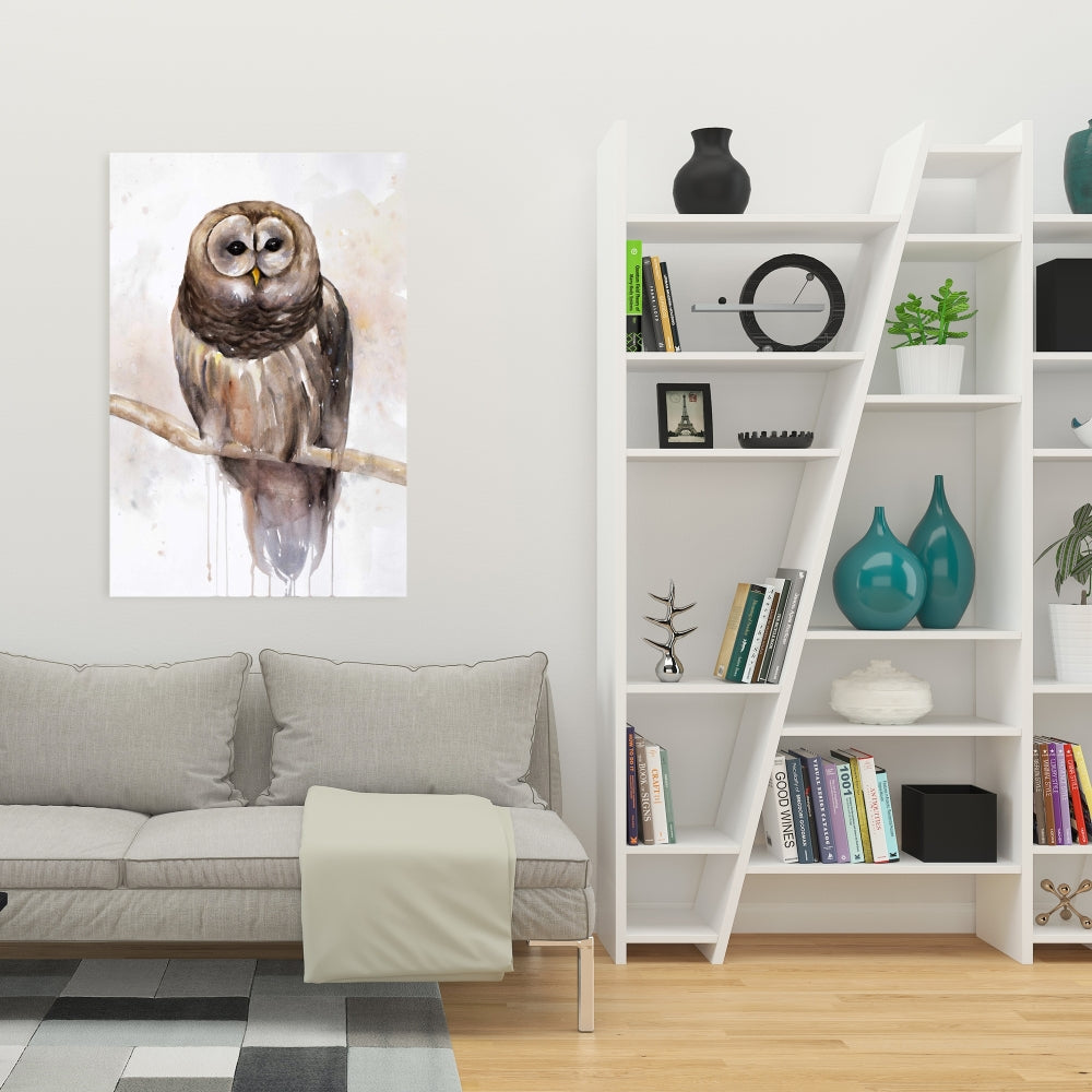 Barred Owl Rustic Canvas - Bedroom Animal Decor Wall Art