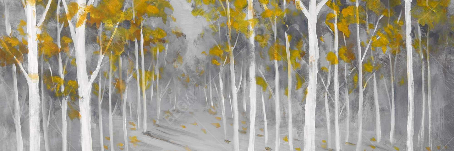 Birch Forest Gray Trees Landscape Framed Canvas - Home Decor