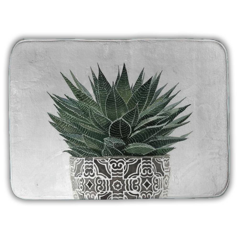 Zebra Plant Succulent Canvas - Botanical Bedroom Wall Art