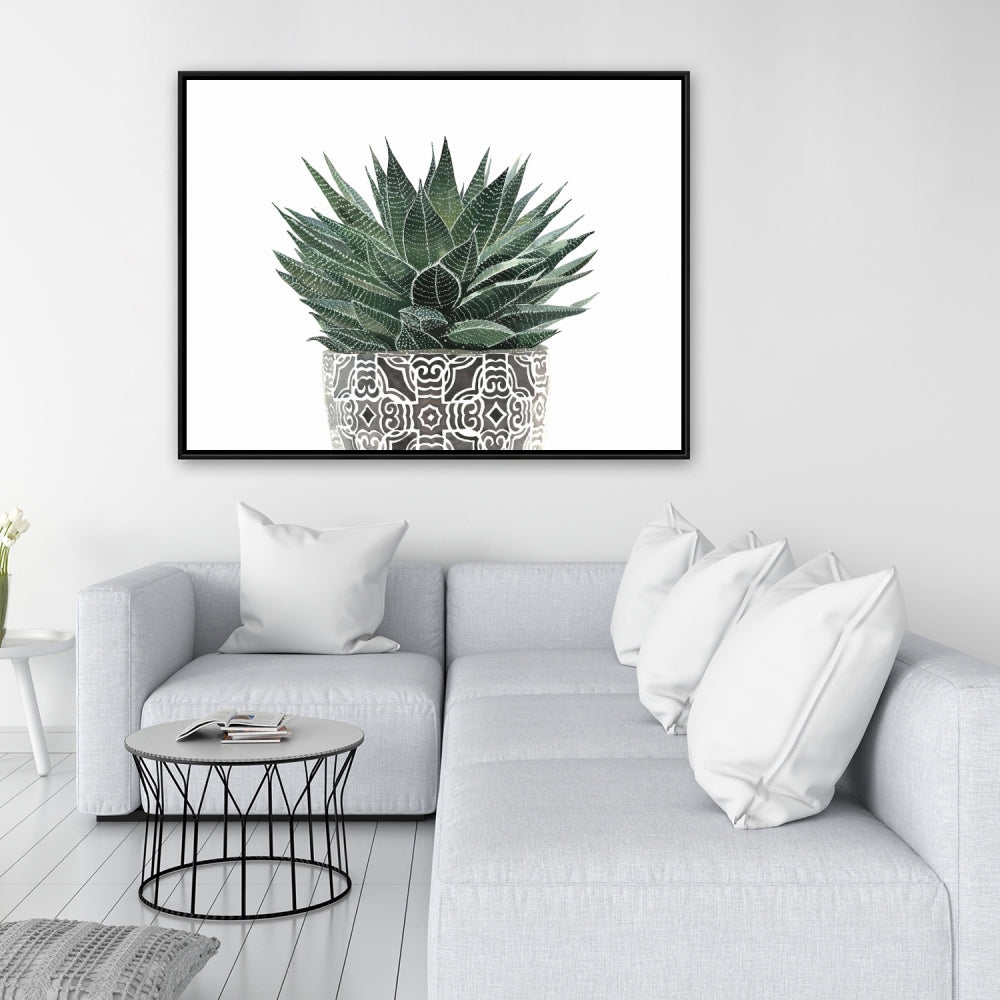 White Floral & Botanical Canvas - Zebra Plant Succulent Decor
