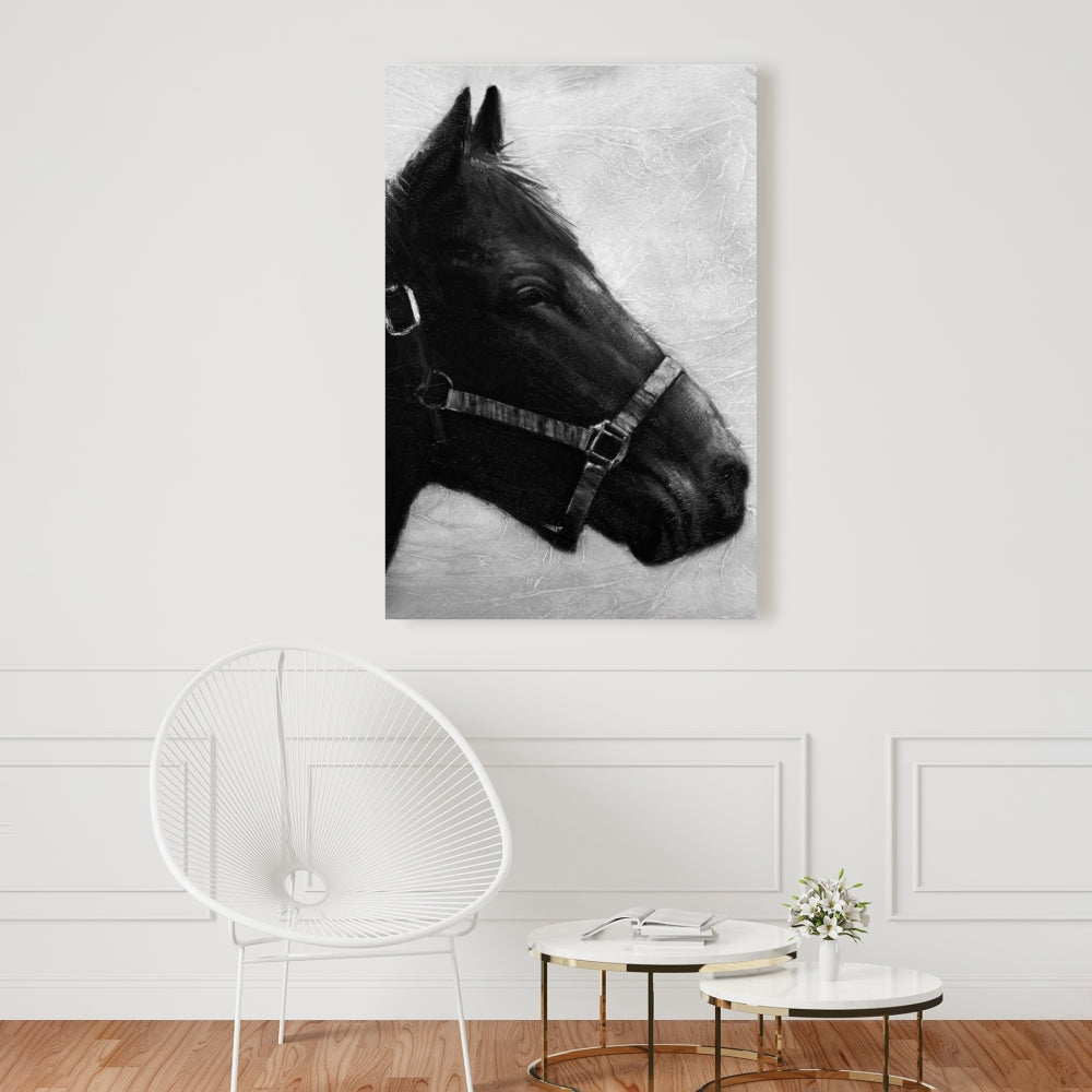 Gallopin the Horse Gray Canvas - Farm Animal Bedroom Decor