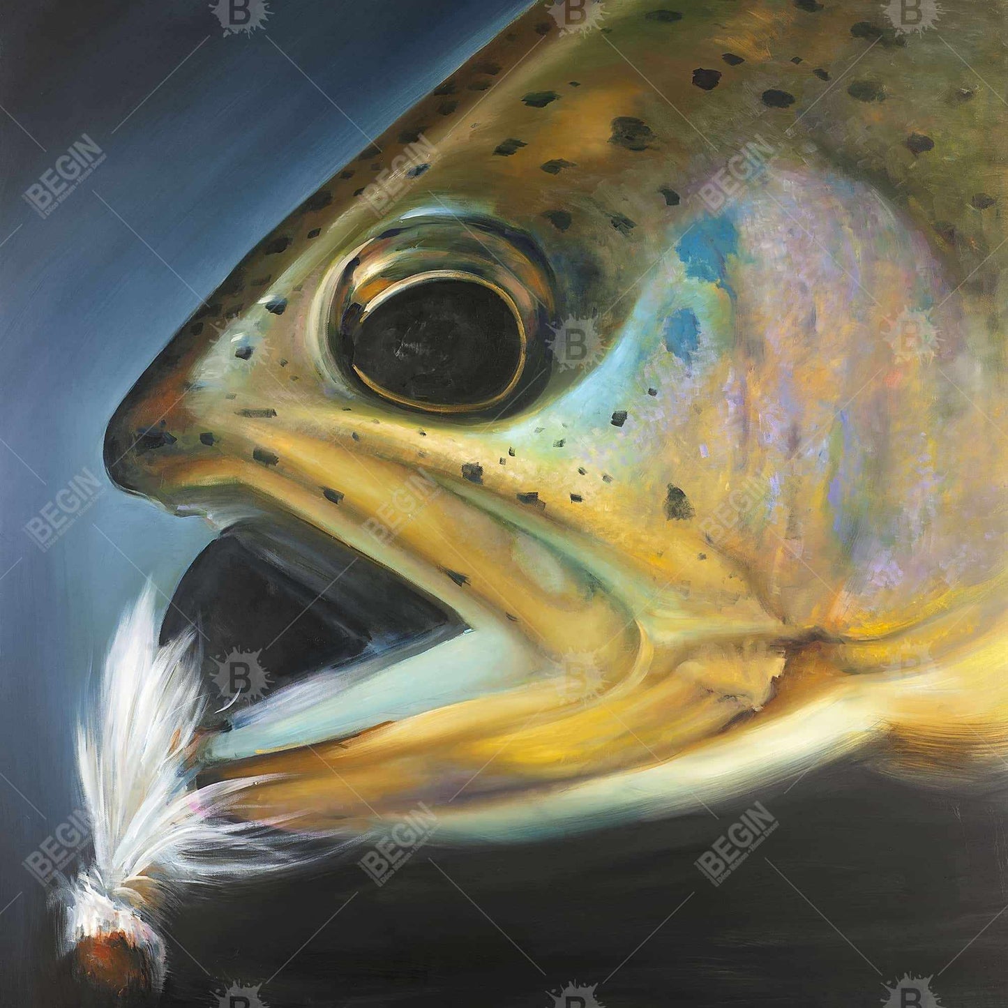 Golden Trout Canvas | Fly Fishing Art | Aquatic Home Decor