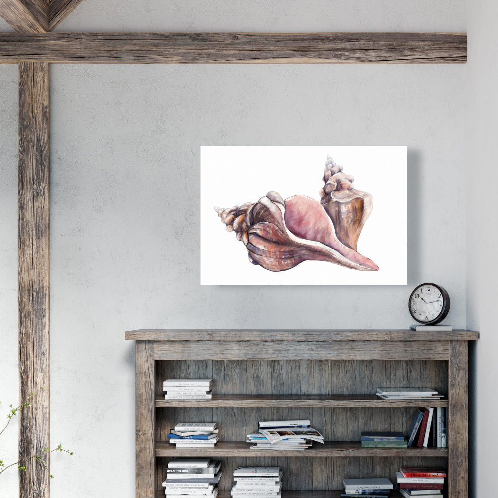 Sea Pink Horse Conch Seashells Canvas | Coastal Home Decor
