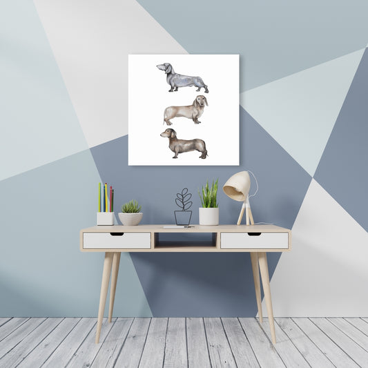 Toile représentant un petit teckel marron - Décoration d'intérieur