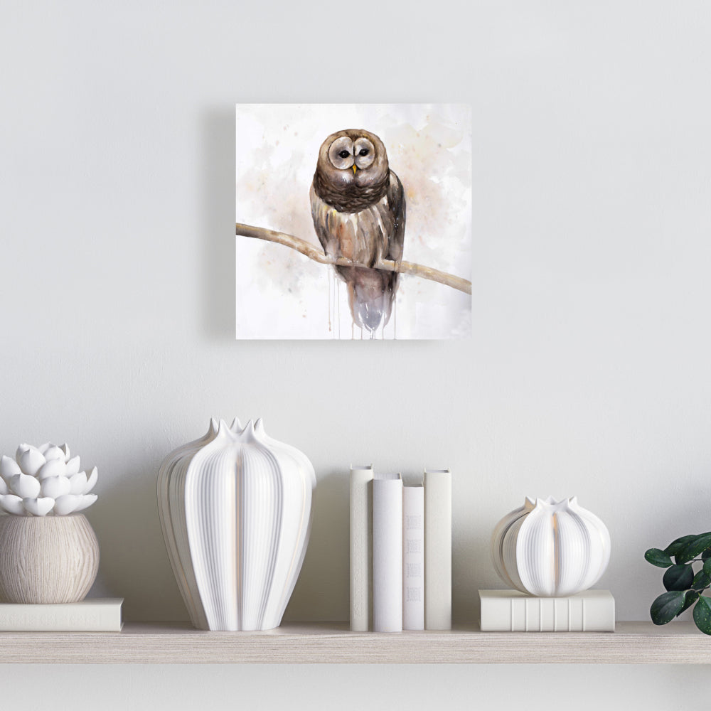Toile rustique représentant une chouette rayée - Décoration murale animalière pour chambre à coucher