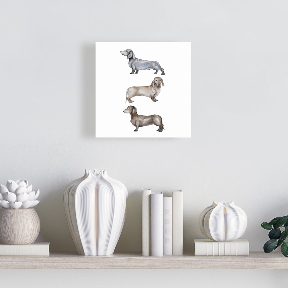 Toile représentant un petit teckel marron - Décoration d'intérieur