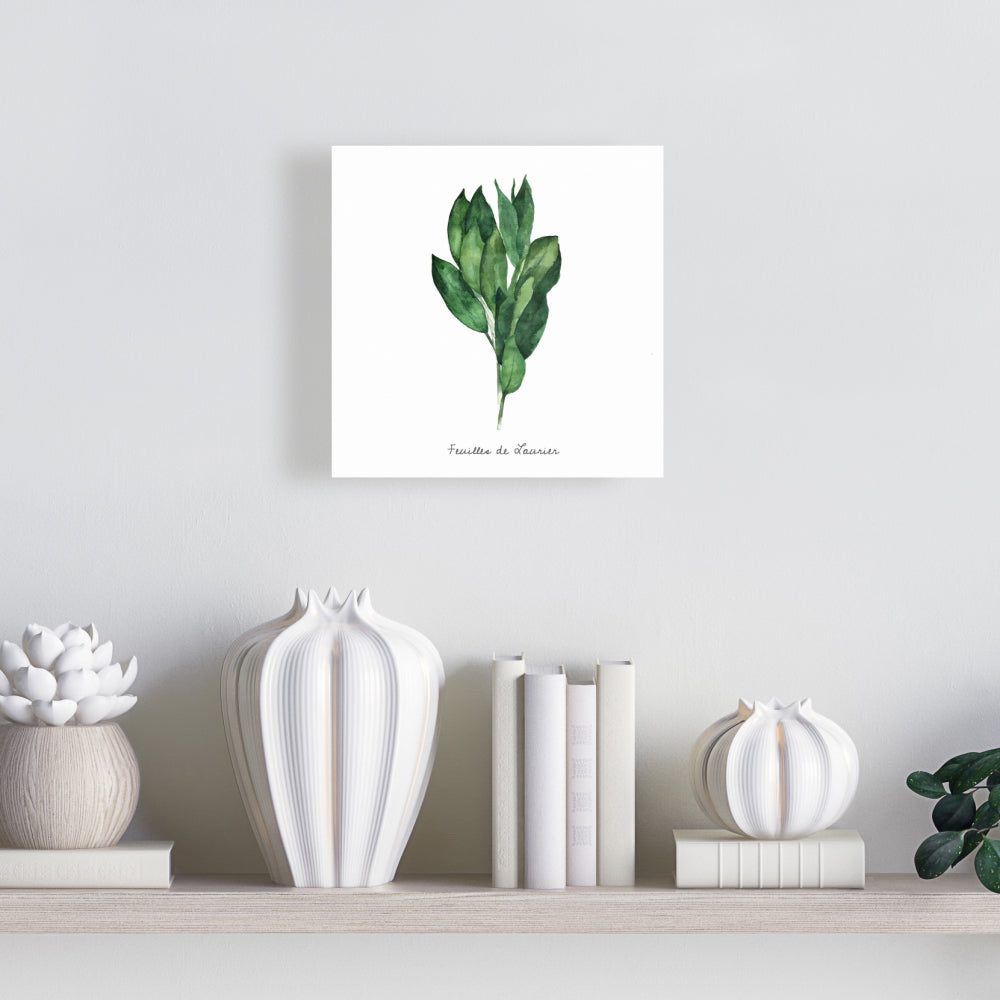 Toile décorative « Feuilles de laurier » – Décoration d'intérieur | Feuilles blanches