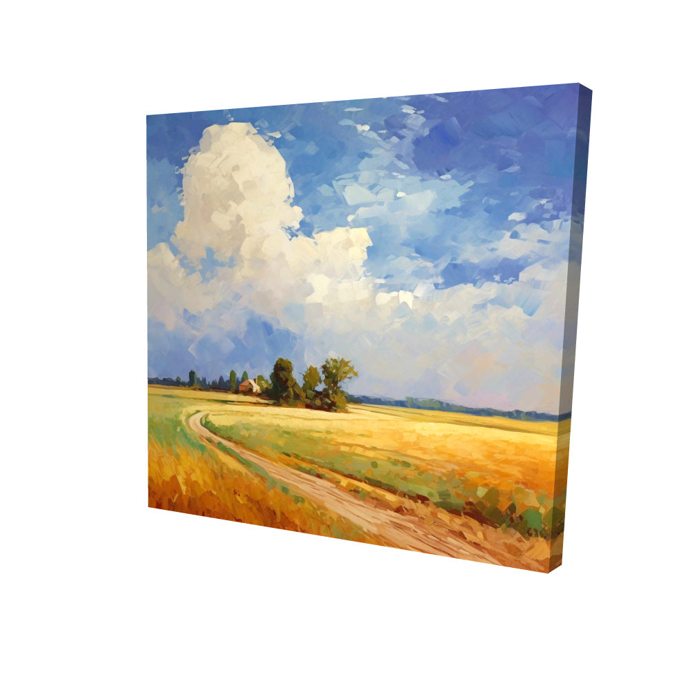 Canvases