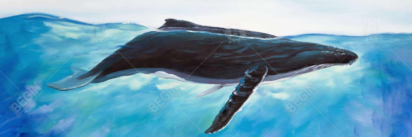 Blue Whale Marine Framed Canvas - Home Decor Wall Art