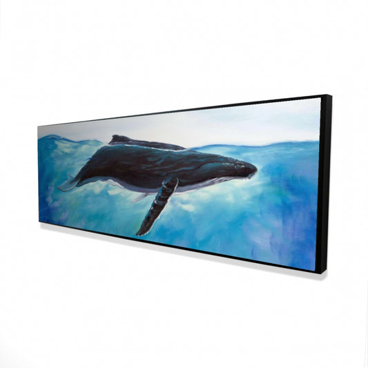 16.00"x48.00"