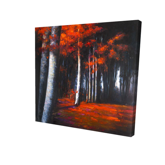 24.00"x24.00"