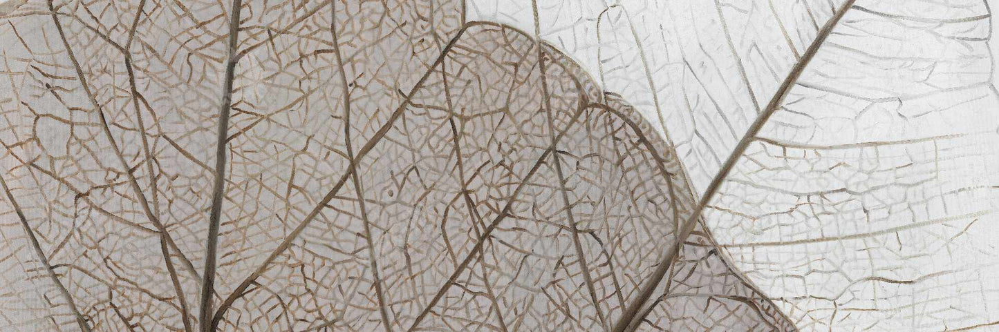 Toile translucide à feuilles séchées | Décoration rustique florale marron