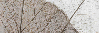 Toile translucide à feuilles séchées | Décoration rustique florale marron