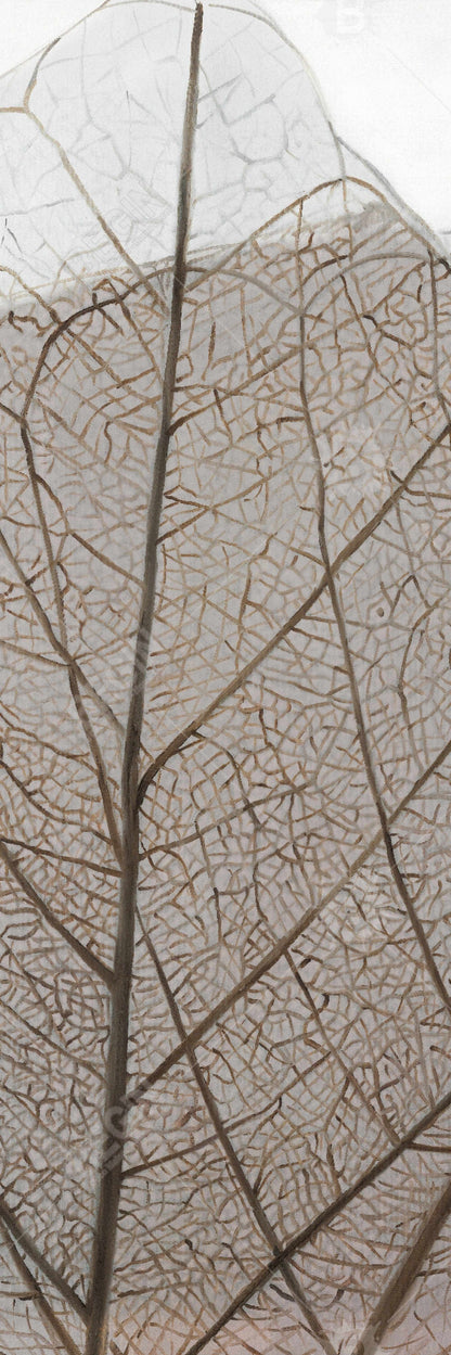 Translucent Dried Leaves Canvas | Rustic Botanical Wall Art