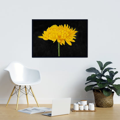 Rustic Botanical Chrysanthemum Framed Canvas | Bedroom Decor