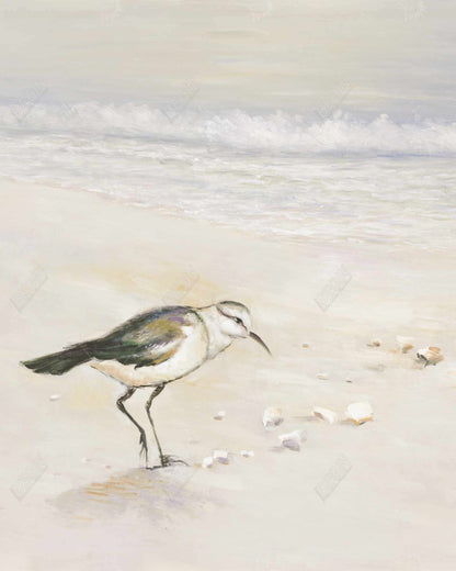 Toile de plage de Bécasseau semipalmé | Décoration murale d'oiseaux