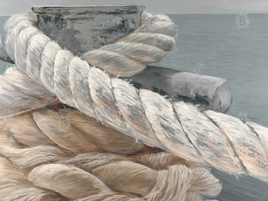 Gray Boat Marine Bath Mat | Tie-Down Ropes Closeup Decor