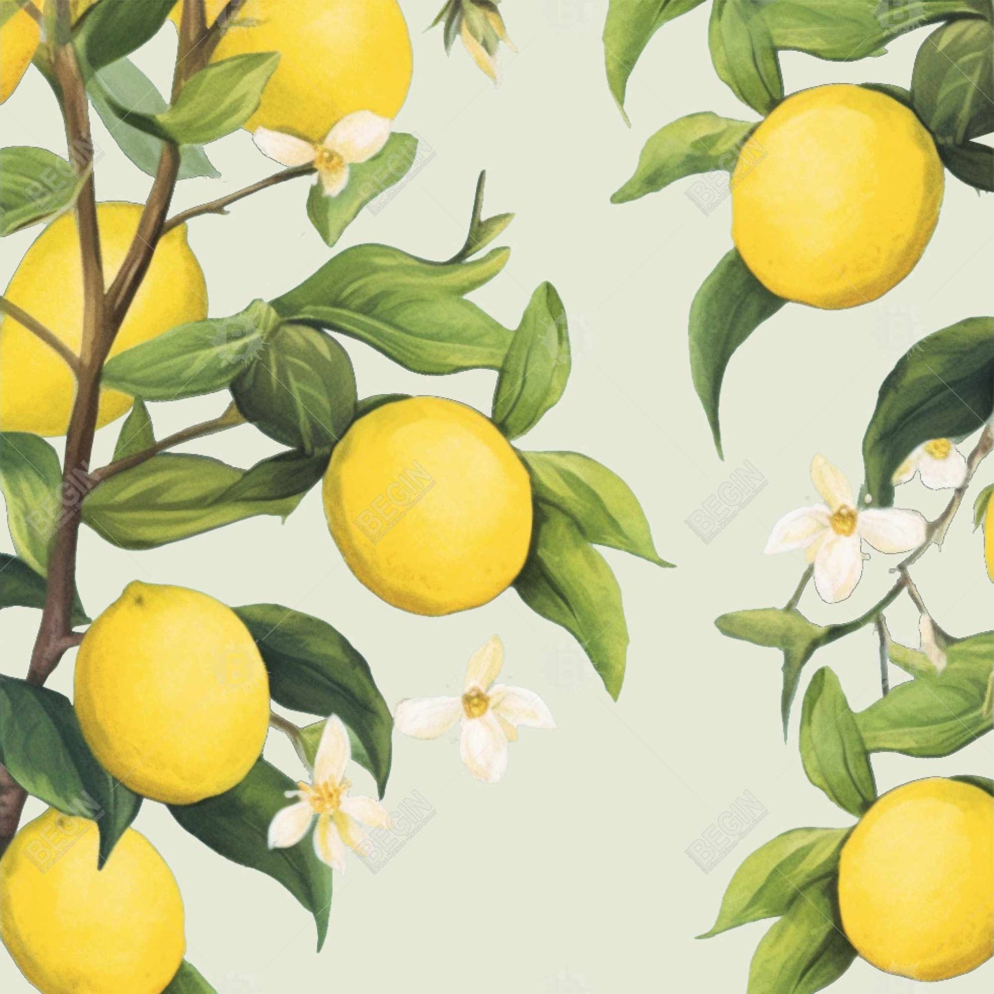 Toile encadrée « Citrons fleuris » | Décoration de chambre contemporaine