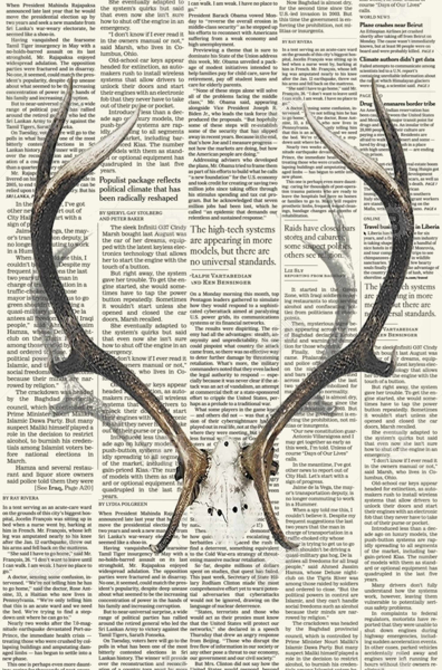 White Deer Canvas | Deer Horns with Newspaper Home Decor