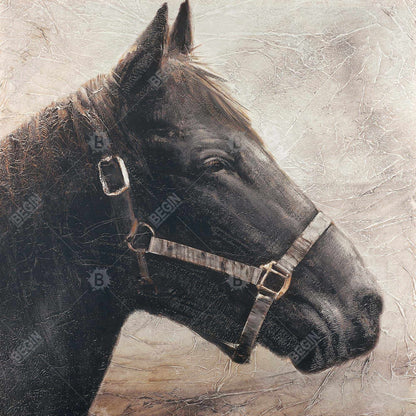 Gallopin the Brown Horse Canvas | Farm Animal Decor | Bedroom
