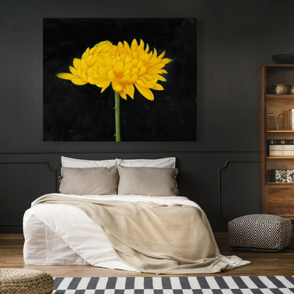 Chrysanthemum Rustic Botanical Canvas | Home Decor Wall Art