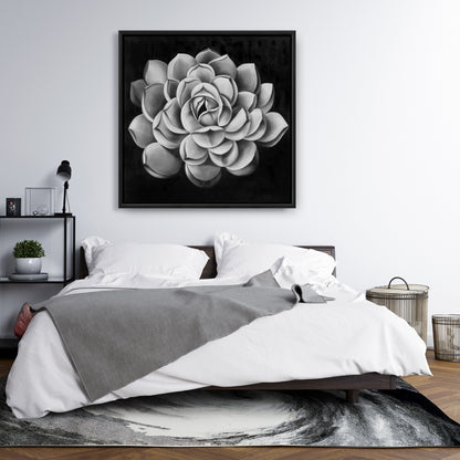 Toile noire et blanche avec plantes succulentes | Décoration florale et botanique pour la maison