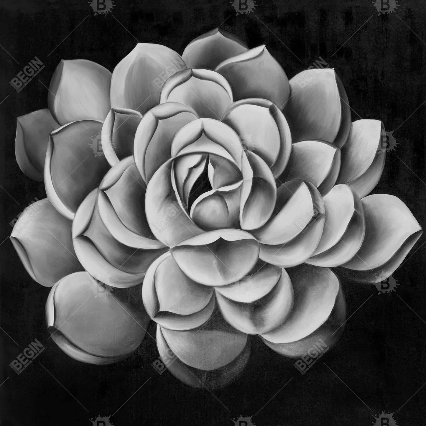 Black and White Succulent Canvas | Monochrome Bedroom Decor