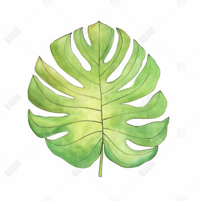 Tropical Leaf Canvas | Exotic Floral & Botanical Wall Art Decor