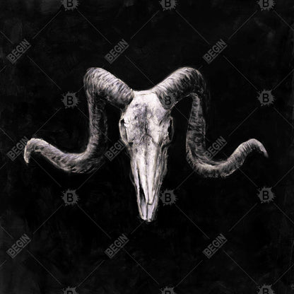 Gray Animals Bedroom Canvas - Skeleton Skulls Grunge Decor