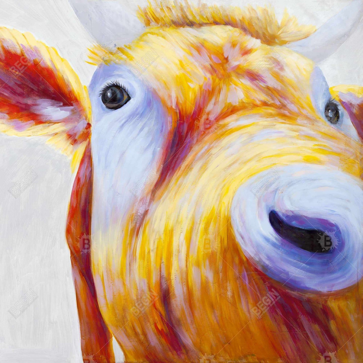 Colorful Country Cow Canvas | Blue Frame - Modern Home Decor