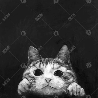 Livingroom Pets White Framed Canvas - Curious Cat Home Decor