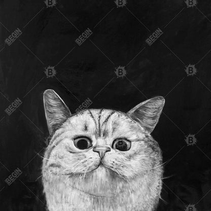 Watching Cat Monochrome Canvas - Living Room Home Decor