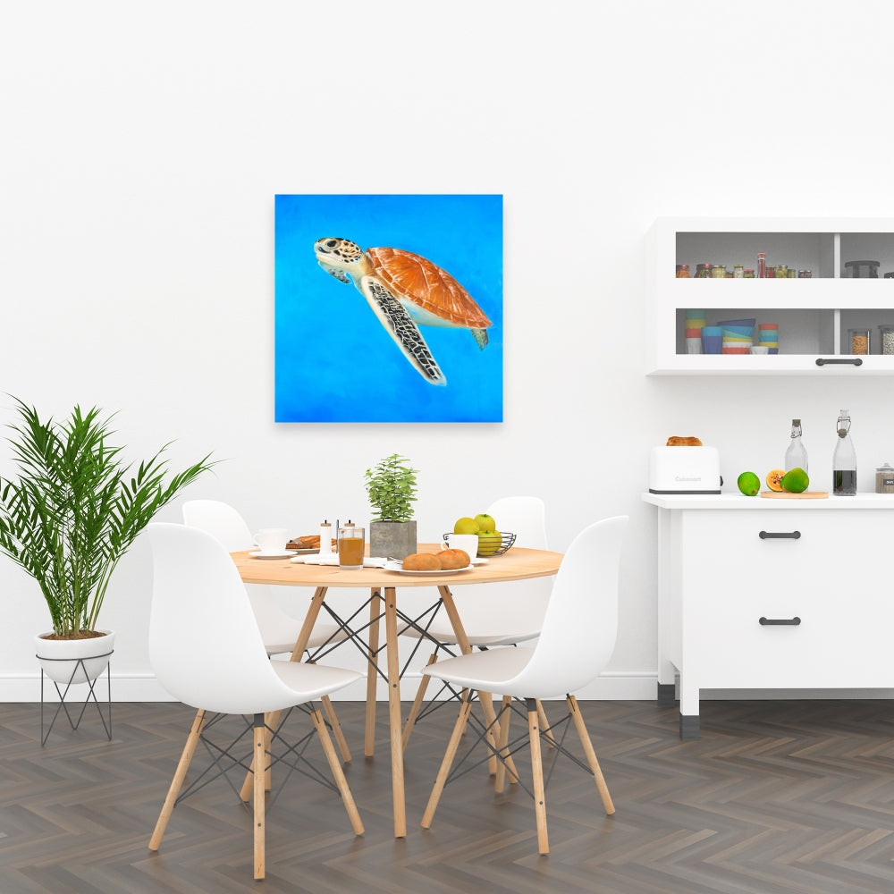 Exotic Sea Turtle Blue Canvas | Home Decor Wall Art