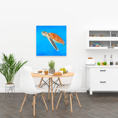 Exotic Sea Turtle Blue Canvas | Home Decor Wall Art